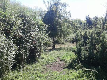 Chacra - Lago Puelo