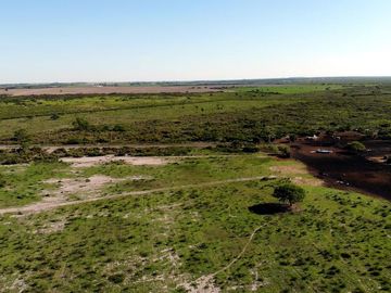 Campo venta