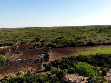 Campo venta