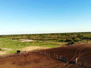 Campo venta