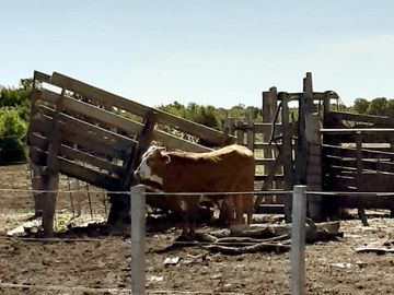 Campo venta