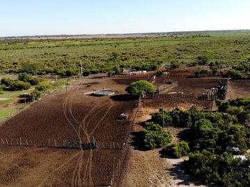 Campo venta