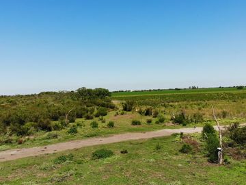 Campo venta