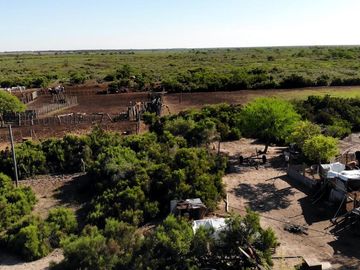 Campo venta