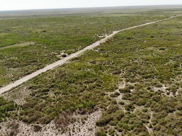 Campo venta