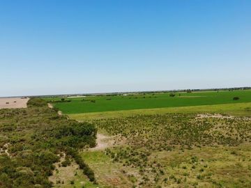 Campo venta