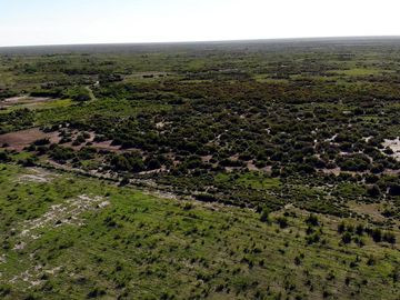 Campo venta