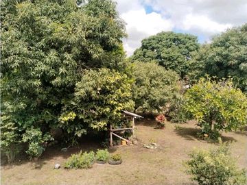 Vendo finca de producion y descanso en caloto departamento del cauca
