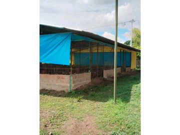 Vendo finca de producion y descanso en caloto departamento del cauca