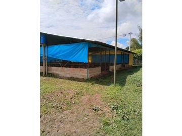 Vendo finca de producion y descanso en caloto departamento del cauca