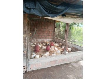 Vendo finca de producion y descanso en caloto departamento del cauca