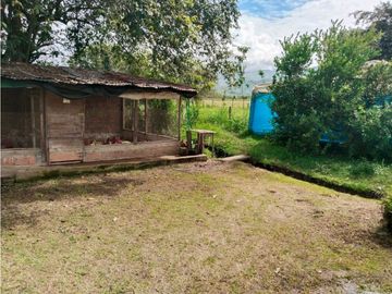 Vendo finca de producion y descanso en caloto departamento del cauca
