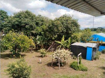 Vendo finca de producion y descanso en caloto departamento del cauca