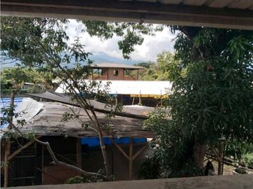 Vendo finca de producion y descanso en caloto departamento del cauca