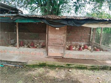 Vendo finca de producion y descanso en caloto departamento del cauca