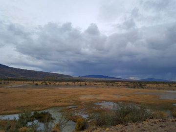 Campo - Precordillera de Santa Cruz