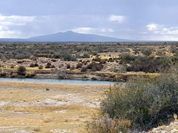 Campo - Precordillera de Santa Cruz