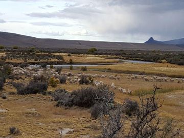 Campo - Precordillera de Santa Cruz