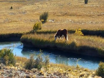 Campo - Precordillera de Santa Cruz