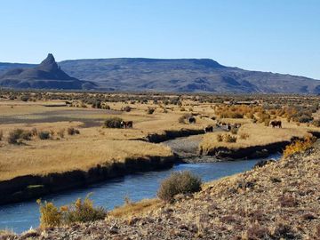 Campo - Precordillera de Santa Cruz