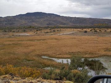 Campo - Precordillera de Santa Cruz