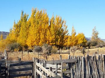 Campo - Precordillera de Santa Cruz