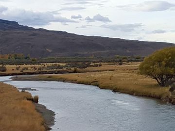 Campo - Precordillera de Santa Cruz