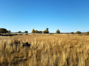 Campo - Precordillera de Santa Cruz