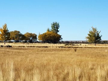 Campo - Precordillera de Santa Cruz