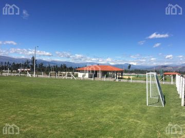 TERRENO DE VENTA EN MALCHINGUI