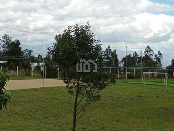 TERRENO DE VENTA EN MALCHINGUI