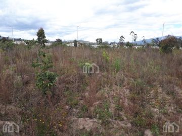 TERRENO DE VENTA EN MALCHINGUI