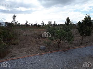 TERRENO DE VENTA EN MALCHINGUI