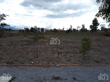 TERRENO DE VENTA EN MALCHINGUI