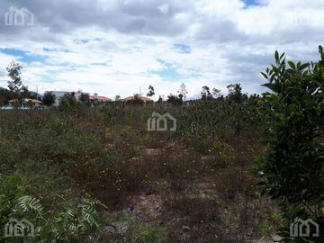 TERRENO DE VENTA EN MALCHINGUI