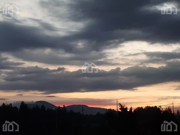 TERRENO DE VENTA EN MALCHINGUI