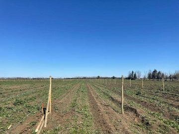 Parcela en venta en CHILLÁN