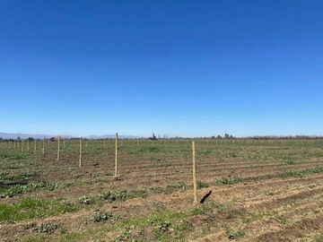 Parcela en venta en CHILLÁN