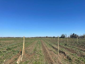 Parcela en venta en CHILLÁN