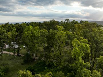 BOSQUECILLO - BARRIO DE MONTAÑA