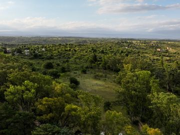 BOSQUECILLO - BARRIO DE MONTAÑA