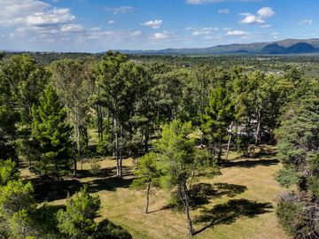 BOSQUECILLO - BARRIO DE MONTAÑA
