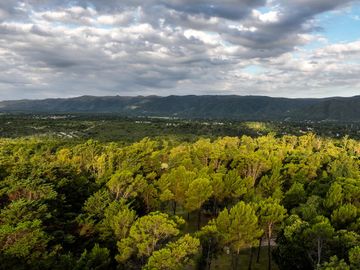 BOSQUECILLO - BARRIO DE MONTAÑA