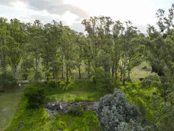 BOSQUECILLO - BARRIO DE MONTAÑA