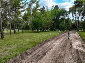 BOSQUECILLO - BARRIO DE MONTAÑA