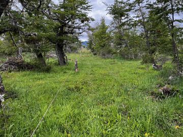 Campo en Corcovado Provincia de Chubut