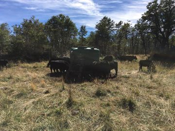 Campo en Corcovado Provincia de Chubut