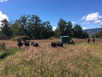 Campo en Corcovado Provincia de Chubut