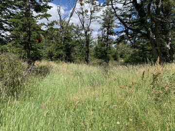 Campo en Corcovado Provincia de Chubut