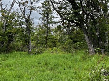 Campo en Corcovado Provincia de Chubut
